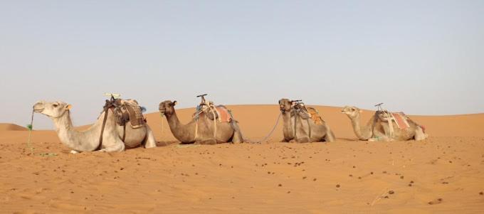 Kasbah Hotel Panorama Мерзуга Экстерьер фото